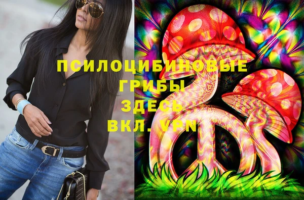 дмт Михайловск